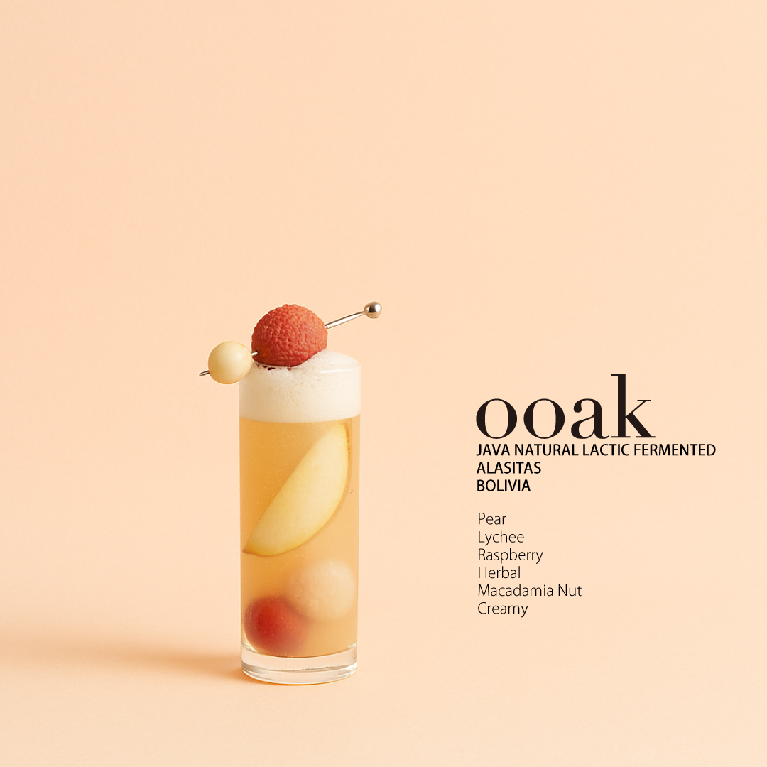 【BOLIVIA】ALASITAS Java Natural Lactic Fermented