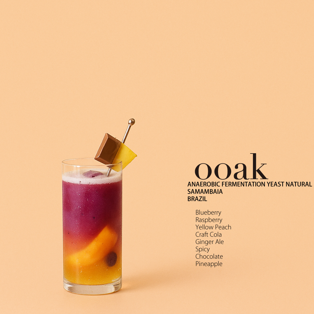 【BRAZIL】SAMAMBAIA Anaerobic Fermentation with Yeast Natural