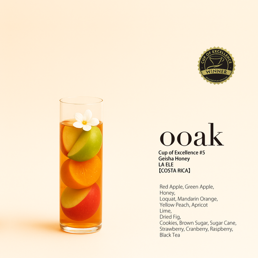 【COSTA RICA】COE受賞#5 LA ELE Geisha Honey