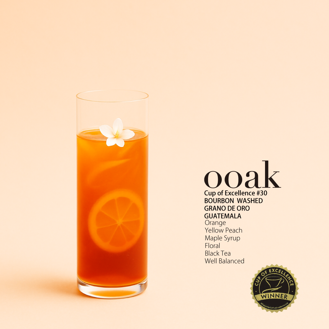 【GUATEMALA】COE受賞#26♦︎GRANO DE ORO Bourbon Washed