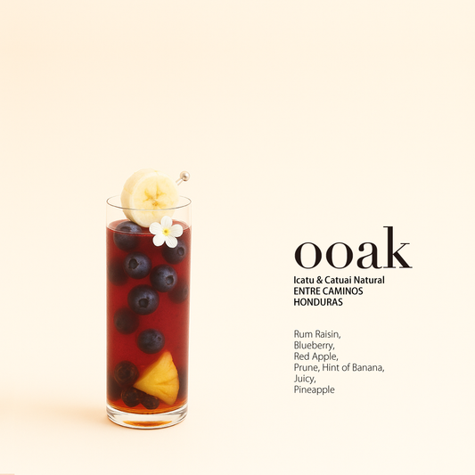 【HONDURAS】ENTRE CAMINOS Icatu & Catuai Natural