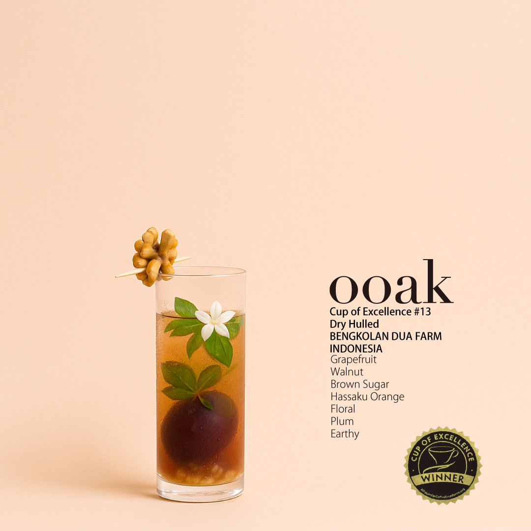 【INDONESIA】COE受賞#13♦︎BENGKOLAN DUA FARM Dry Hulled