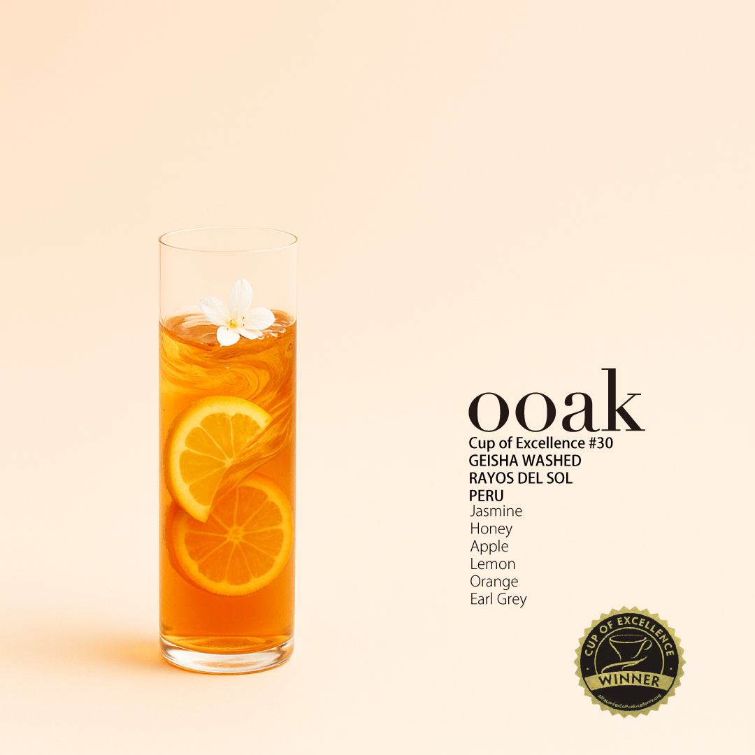 【PERU】COE受賞#30♦︎RAYOS DEL SOL Geisha Washed
