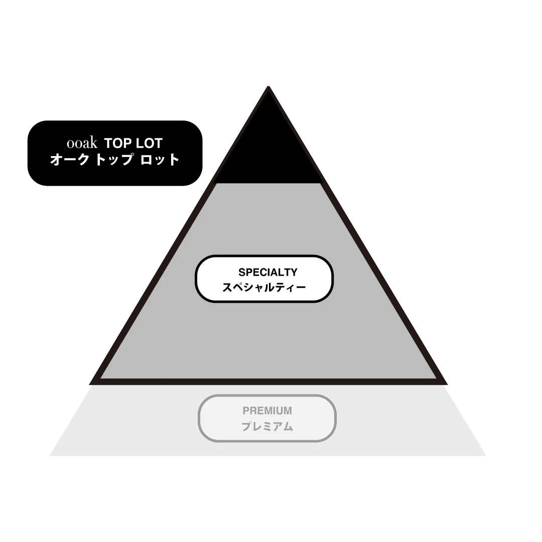 3/21発売【BLEND】THE ETHIOPIA WASHED Lot#002