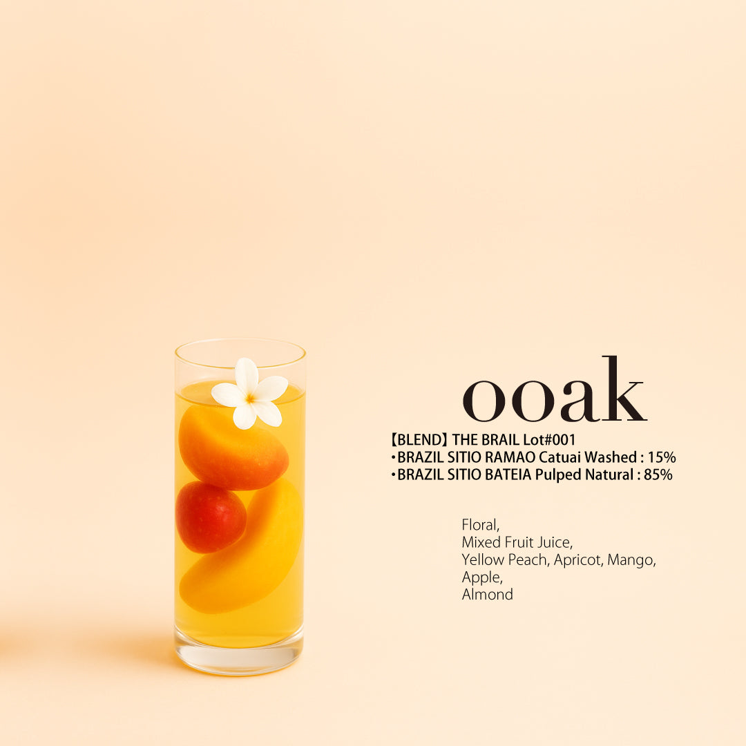 <Online Exclusive>【BLEND】THE BRAIL Lot#001 (ESC受賞2種)