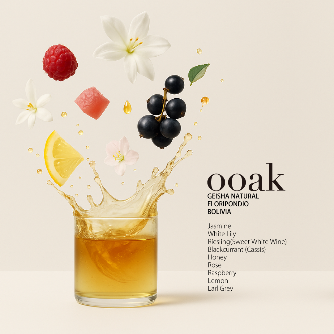 【BOLIVIA】FLORIPONDIO Geisha Natural