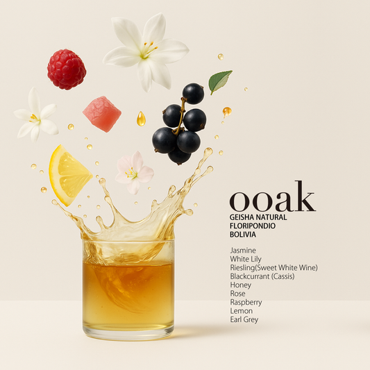 【BOLIVIA】FLORIPONDIO Geisha Natural