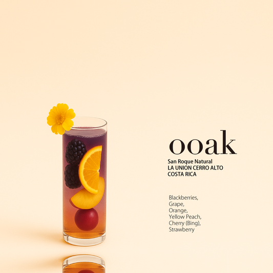 <オンライン限定>【COSTA RICA】CERRO ALTO LA UNION San Roque Natural