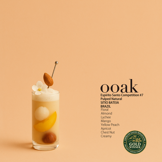 【BRAZIL】ESC受賞#7♦︎SITIO BATEIA Pulped Natural