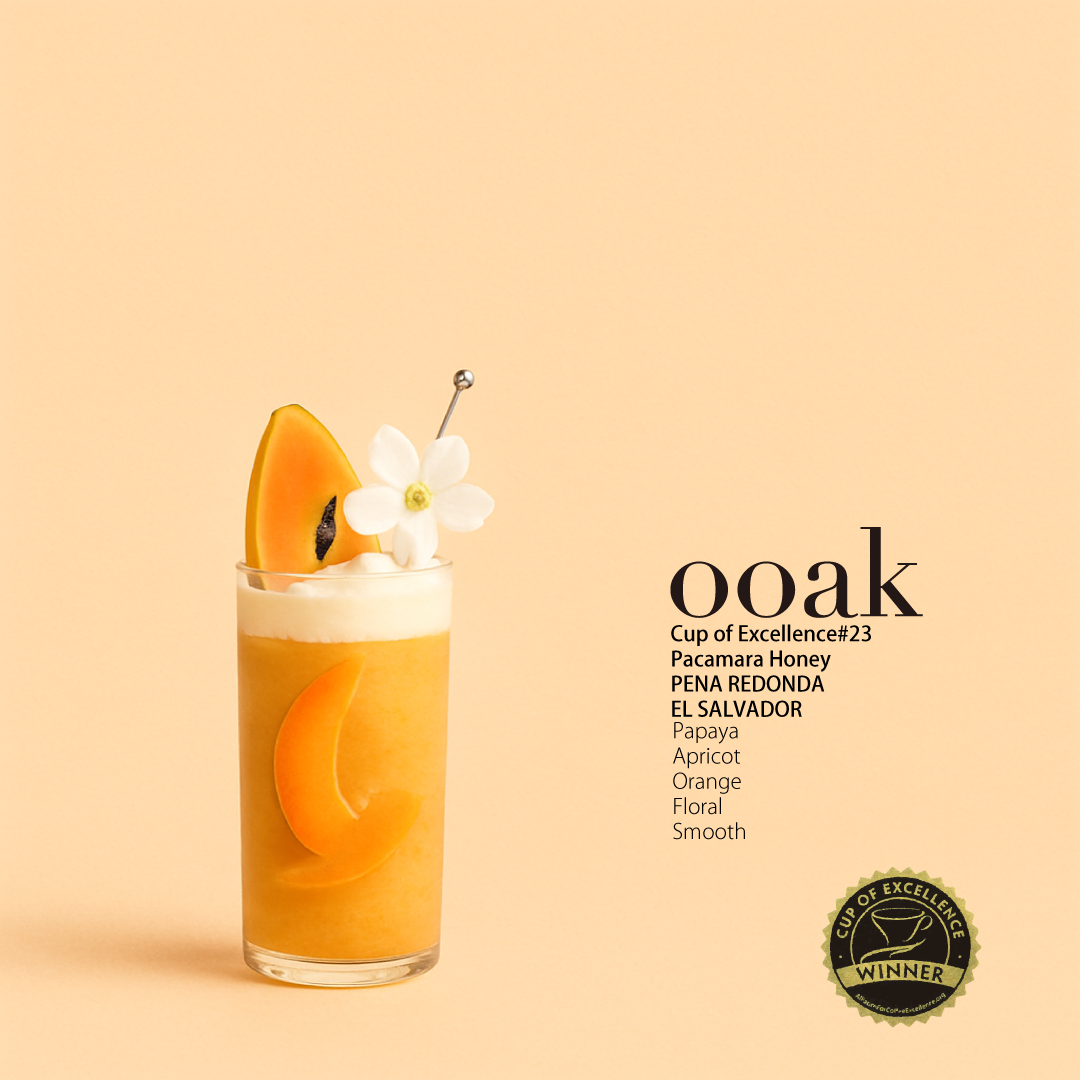 【EL SALVADOR】COE受賞#23♦︎PENA REDONDA Pacamara Honey