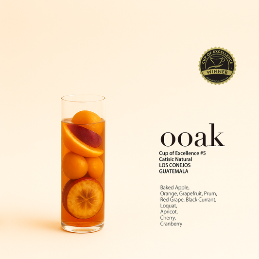 【GUATEMALA】COE受賞#5 LOS CONEJOS Catisic Natural