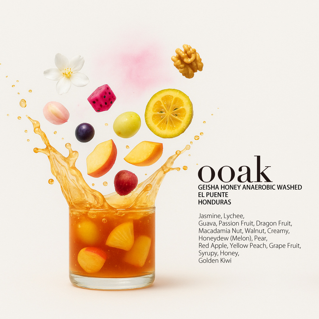 【HONDURAS】EL PUENTE Geisha Honey Anaerobic Washed