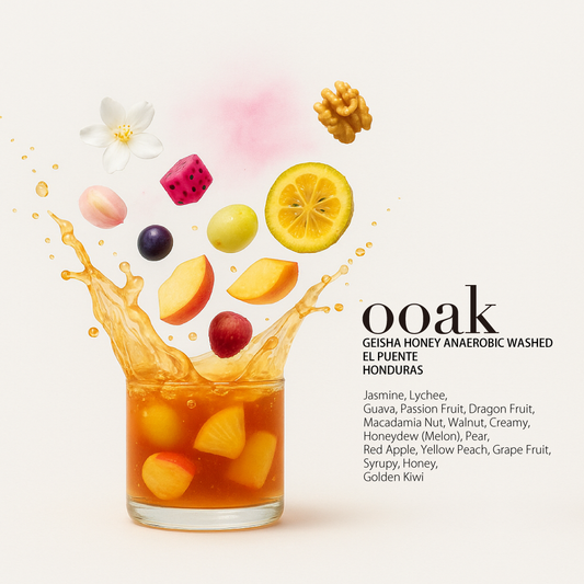 【HONDURAS】EL PUENTE Geisha Honey Anaerobic Washed