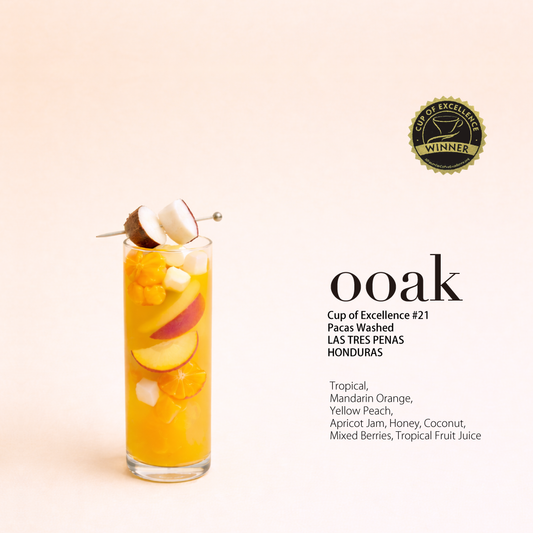 【HONDURAS】COE受賞#21 LAS TRES PENAS Pacas Washed