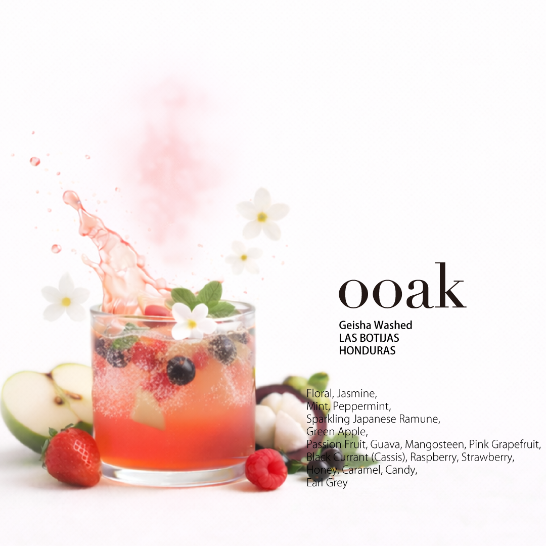 3/21発売【HONDURAS】LAS BOTIJAS Geisha Washed