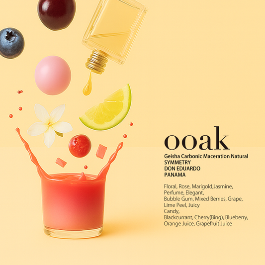 【PANAMA】DON EDUARDO SYMMETRY Geisha Carbonic Maceration Natural