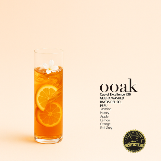 【PERU】COE受賞#30♦︎RAYOS DEL SOL Geisha Washed