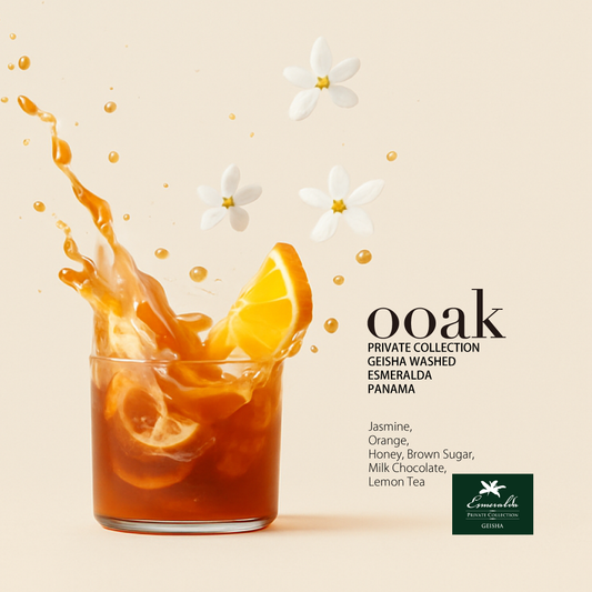 【PANAMA】 ESMERALDA PRIVATE COLLECTION Geisha Washed