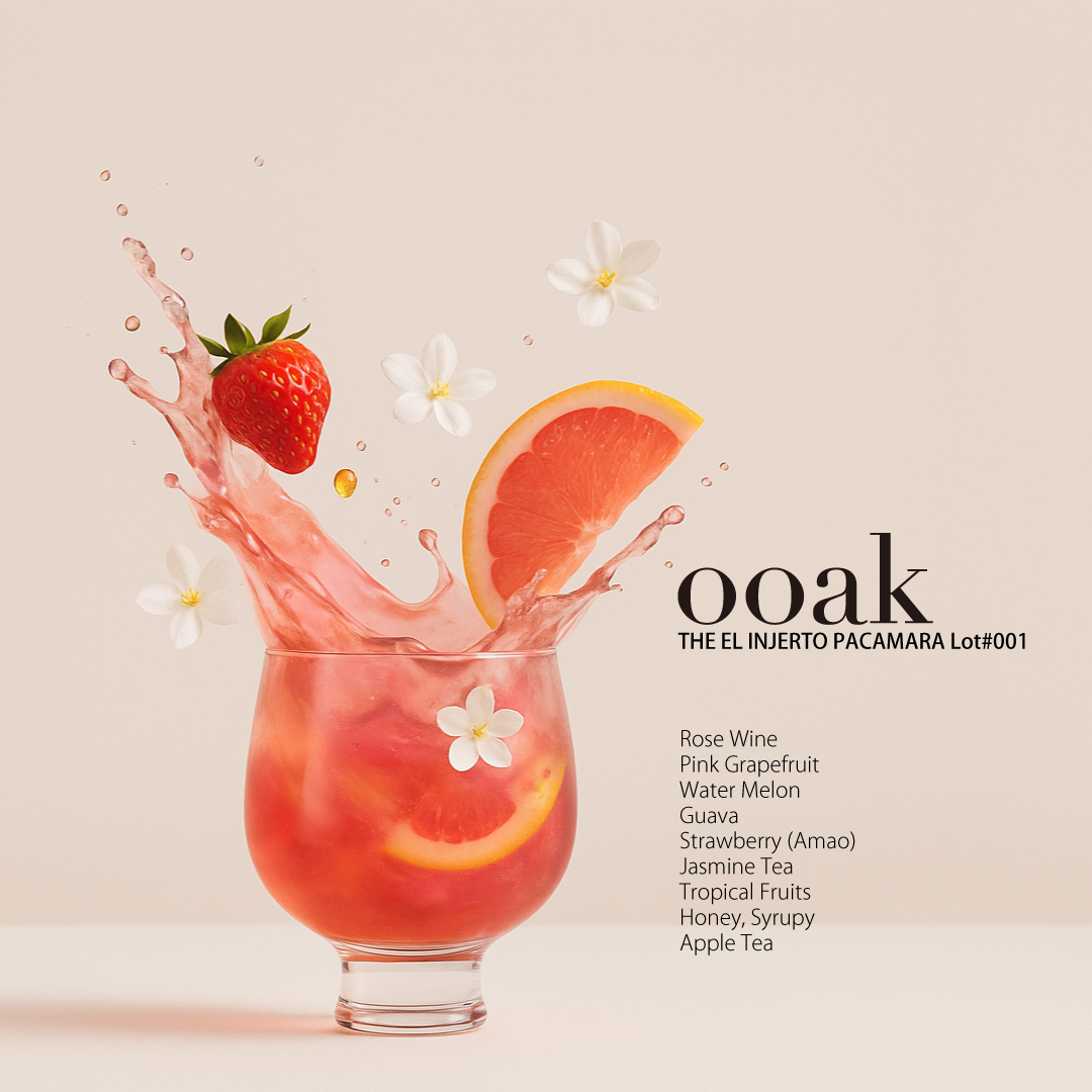 【BLEND】THE EL INJERTO PACAMARA Lot#001〈*マチテラス日進にて店頭在庫あり得〉