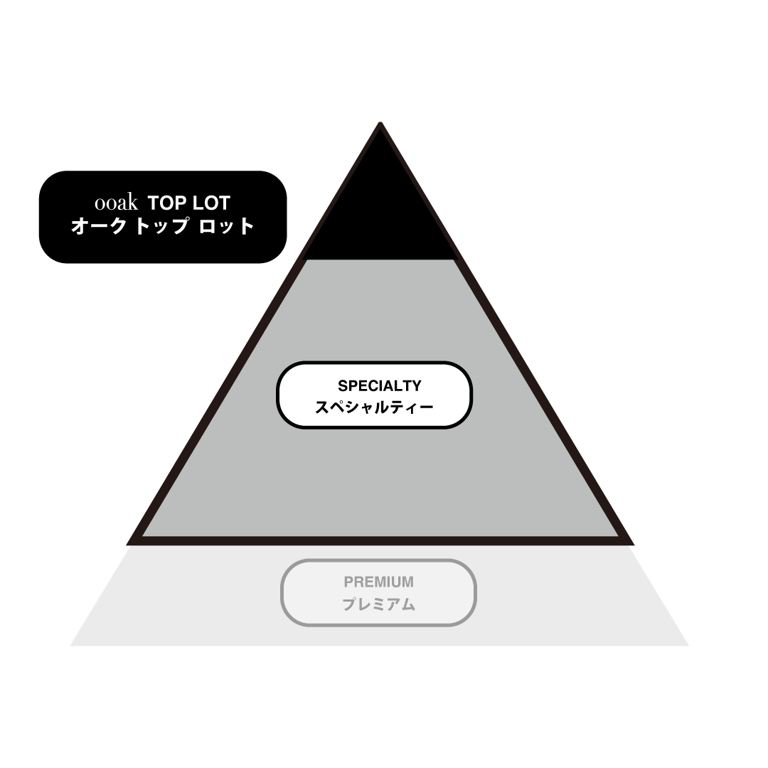 【BLEND】THE EL INJERTO PACAMARA Lot#001